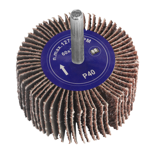 Abrasive Flap Wheel &#216;60 x 30mm 40Grit 6mm Shaft