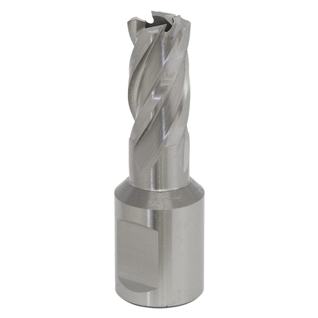 Worksafe&#174; 14mm HSS Mag Drill Bit Cut Depth 25mm