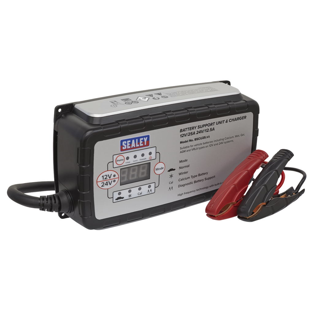 12V-25A/24V-12.5A Battery Support Unit & Charger