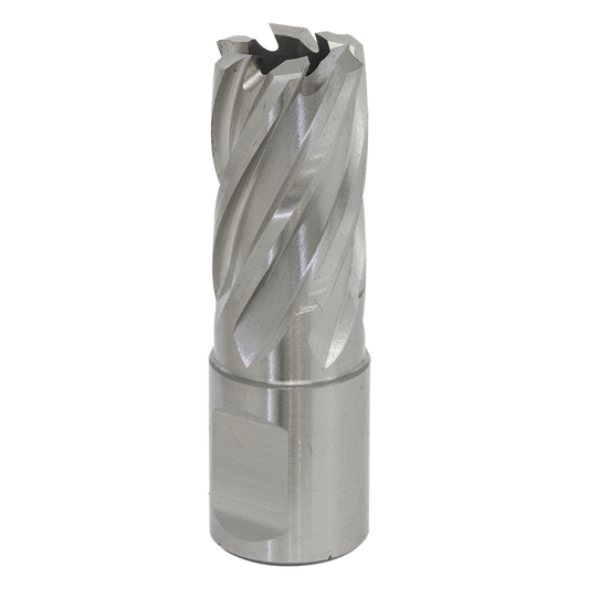 Worksafe&#174; 17mm HSS Mag Drill Bit Cut Depth 25mm