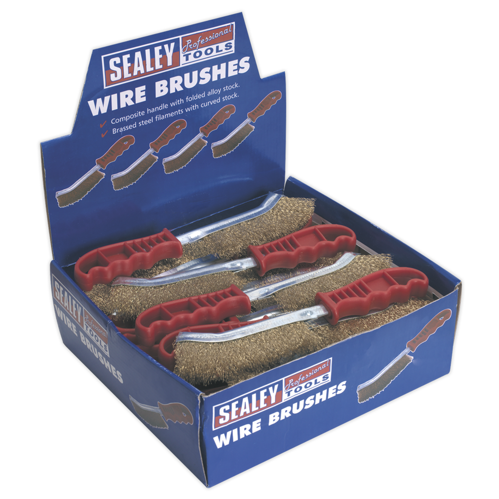 Brassed Steel Wire Brush with Plastic Handle - Display Box of 24