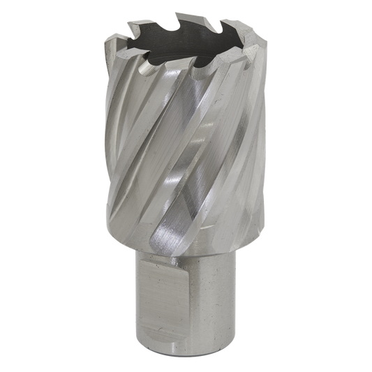 Worksafe&#174; 30mm HSS Mag Drill Bit Cut Depth 25mm