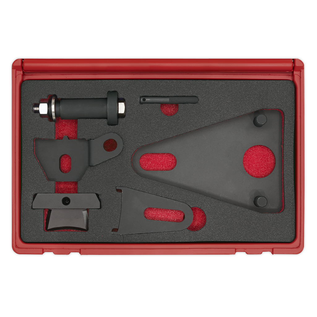Front Pulley & Flywheel Locking Tool Set - Chain Drive