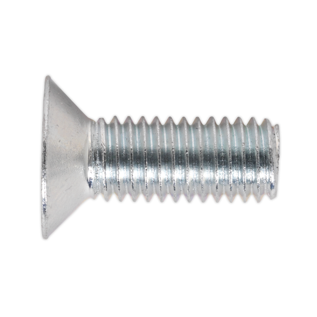 Zinc Plated Countersunk Pozi Machine Screw M8 x 20mm - Pack of 50