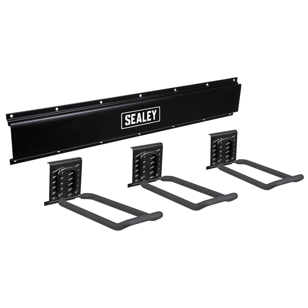 Wall Mounting Storage Rail with 3 Closed End Hooks