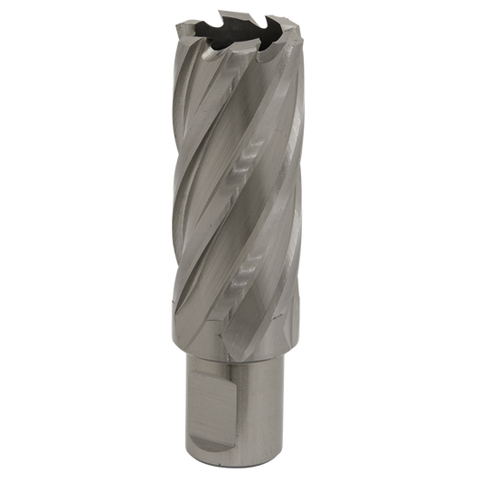 Worksafe&#174; 27mm HSS Mag Drill Bit Cut Depth 50mm