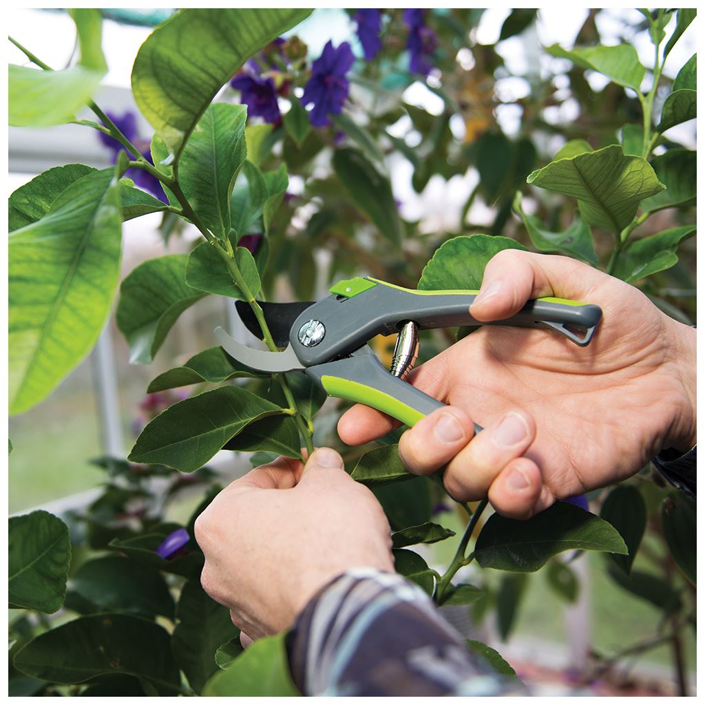 Silverline Bypass Secateurs - 200mm