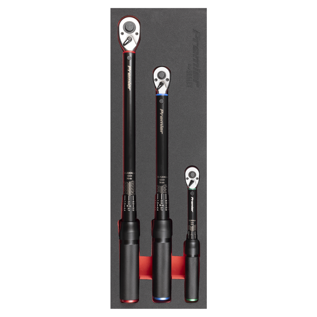 Torque Wrench Micrometer 3pc Set ? Premier Black