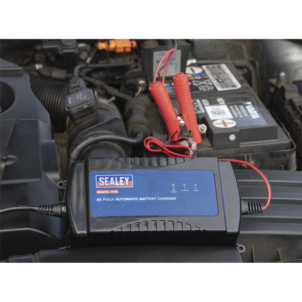 12V Fully Automatic Battery Maintainer/Charger 8A