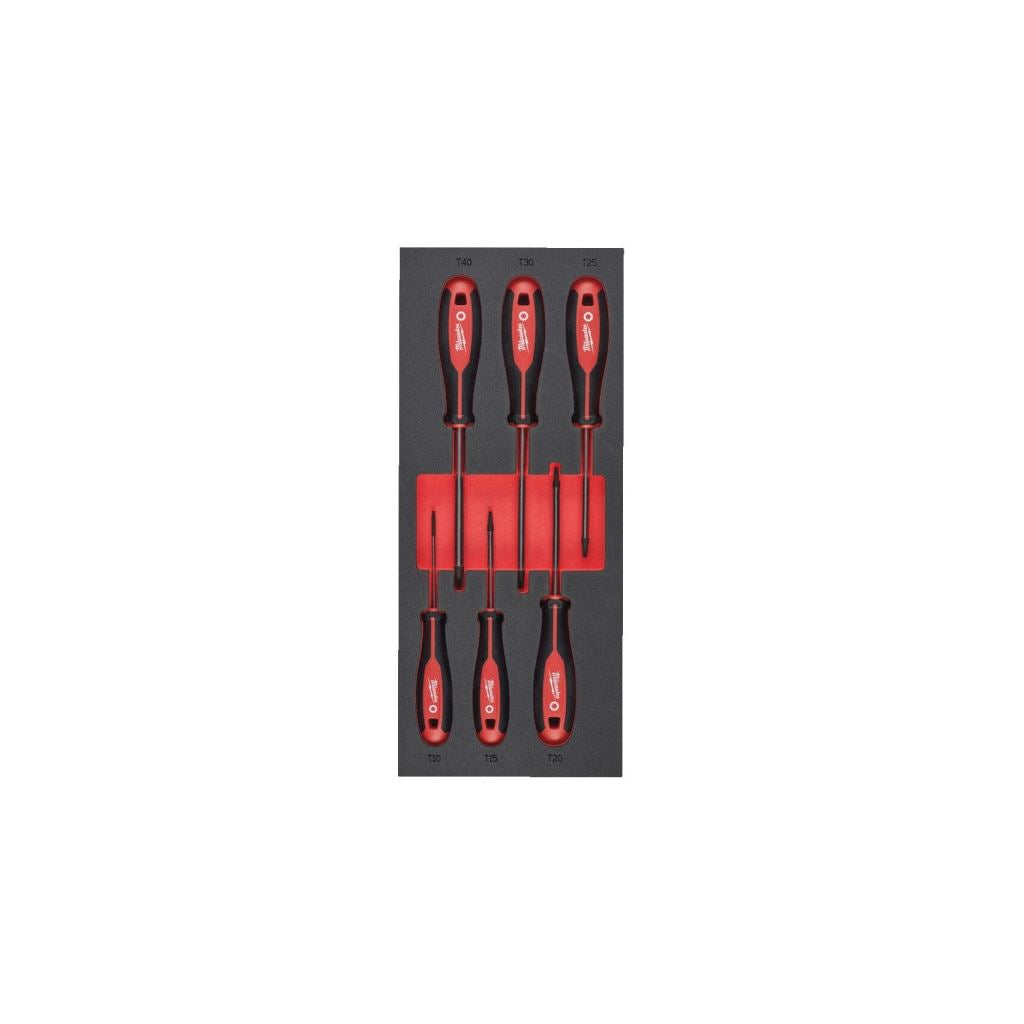 6 pc Tri-Lobe Screwdriver TX Set 2 Foam Insert -6pc