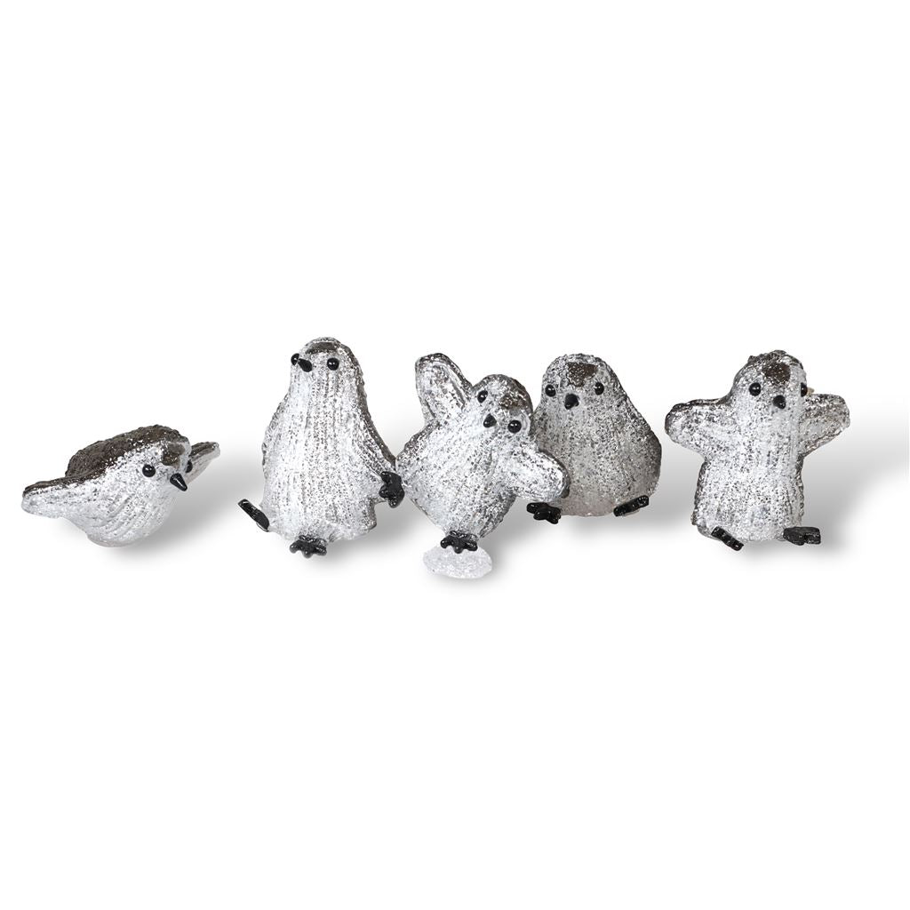 Xmas Haus Set of 5 Acrylic Outdoor/Indoor Penguins Battery Operated With 8 Led&#39;s Per Unit and On/off Timer