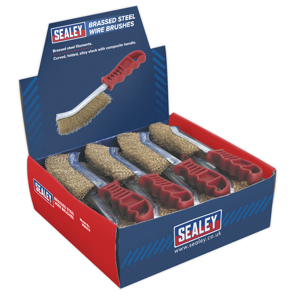 Brassed Steel Wire Brush with Plastic Handle - Display Box of 24