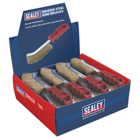 Brassed Steel Wire Brush with Plastic Handle - Display Box of 24