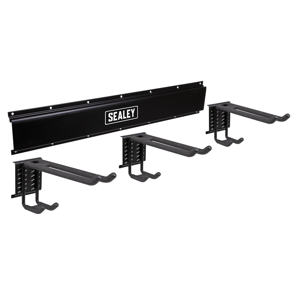 Wall Mounting Storage Rail with 3 Dual Hooks