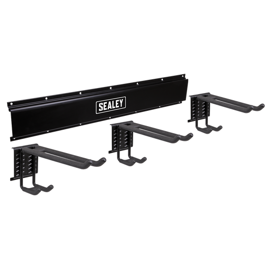 Wall Mounting Storage Rail with 3 Dual Hooks