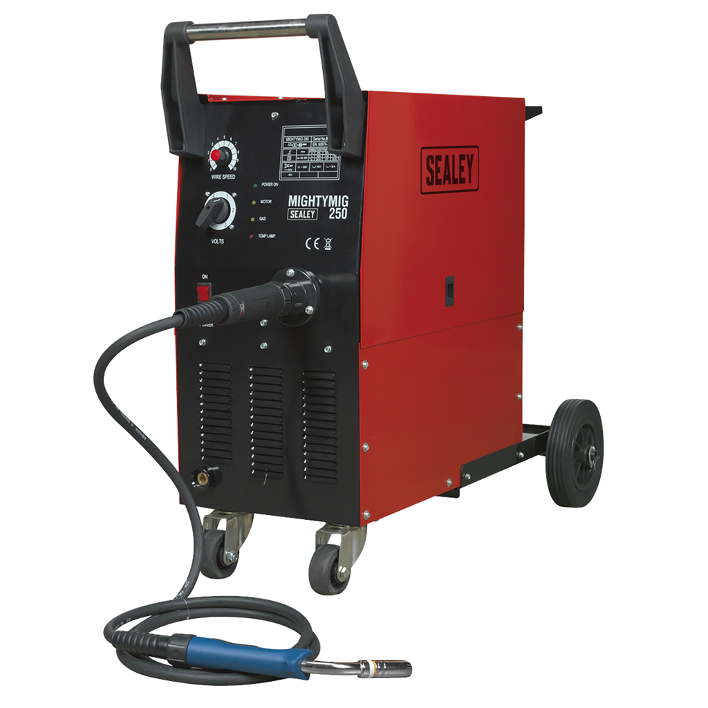 Professional Gas/Gasless MIG Welder with Euro Torch 250A