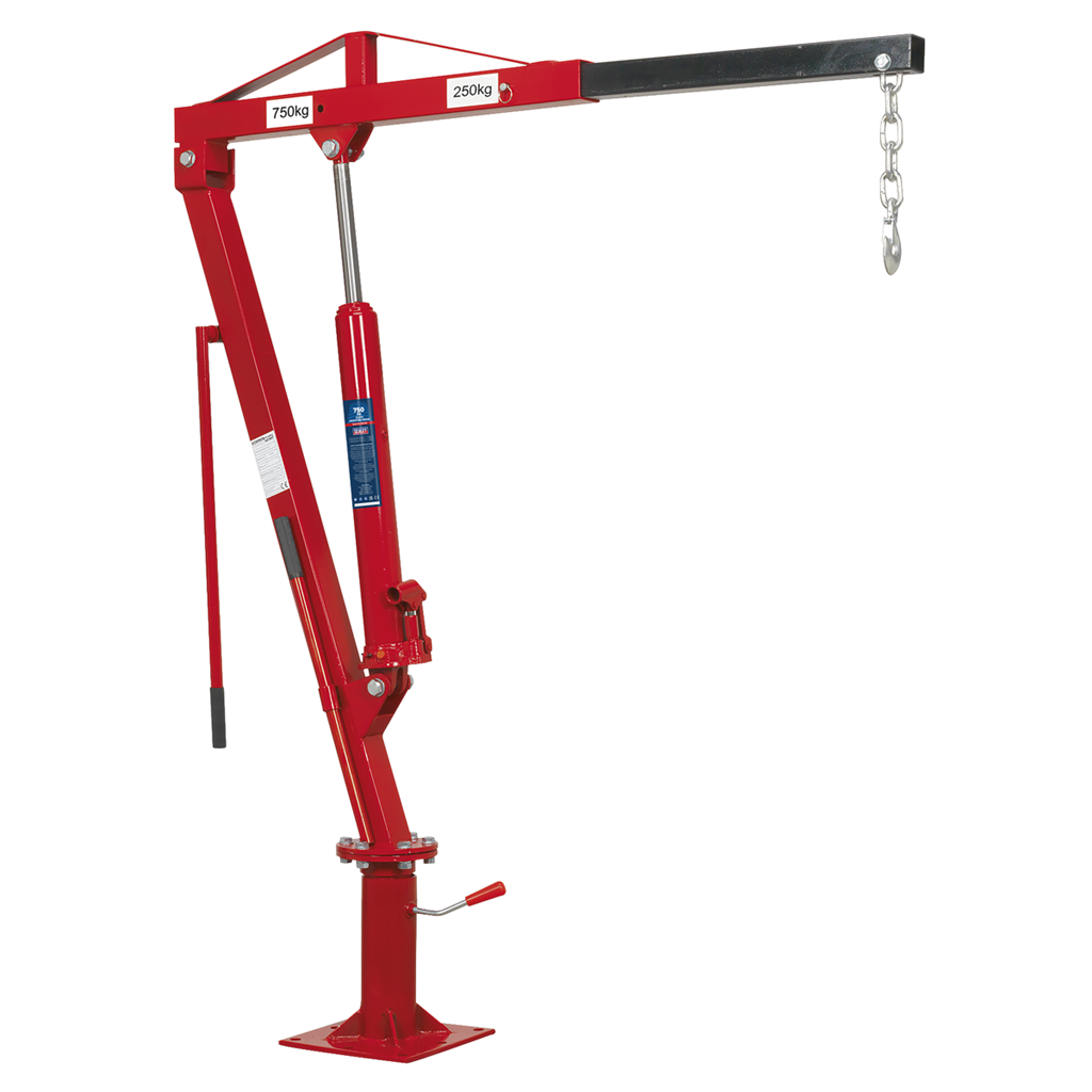 Static Mounted Crane 750kg