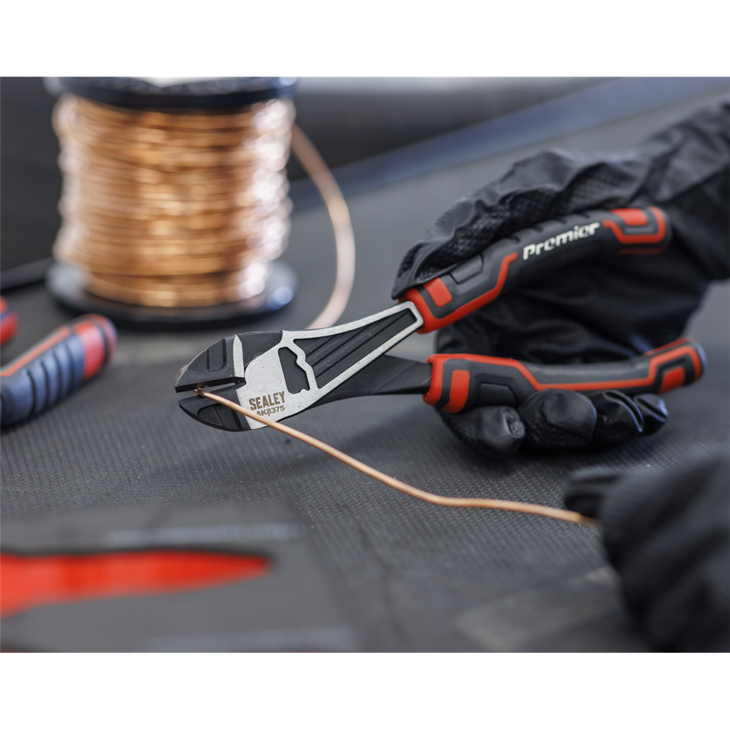 Premier Pliers Set with Tool Tray 4pc