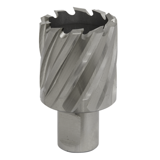 Worksafe&#174; 34mm HSS Mag Drill Bit Cut Depth 25mm