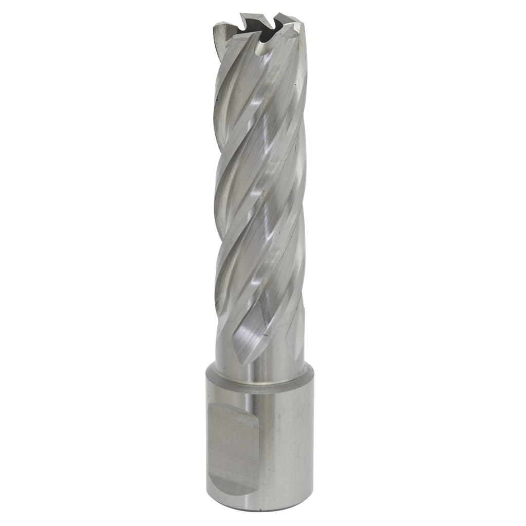 Worksafe&#174; 16mm HSS Mag Drill Bit Cut Depth 50mm