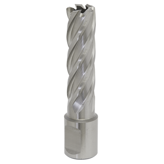 Worksafe&#174; 16mm HSS Mag Drill Bit Cut Depth 50mm