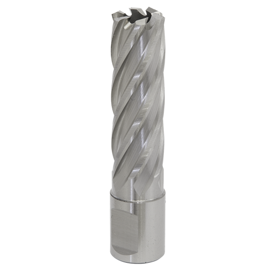 Worksafe&#174; 18mm HSS Mag Drill Bit Cut Depth 50mm