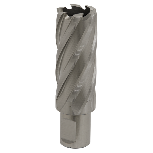 Worksafe&#174; 25mm HSS Mag Drill Bit Cut Depth 50mm