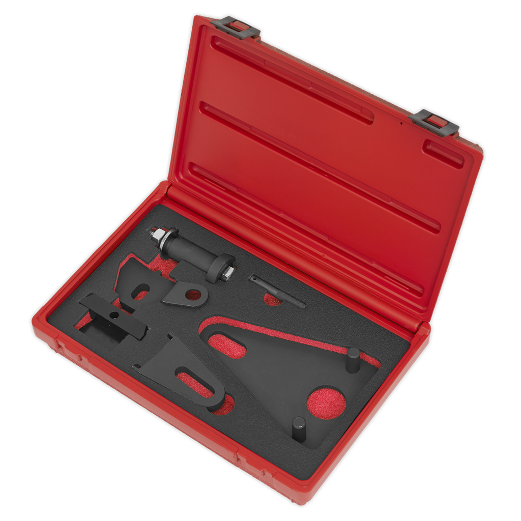 Front Pulley & Flywheel Locking Tool Set - Chain Drive