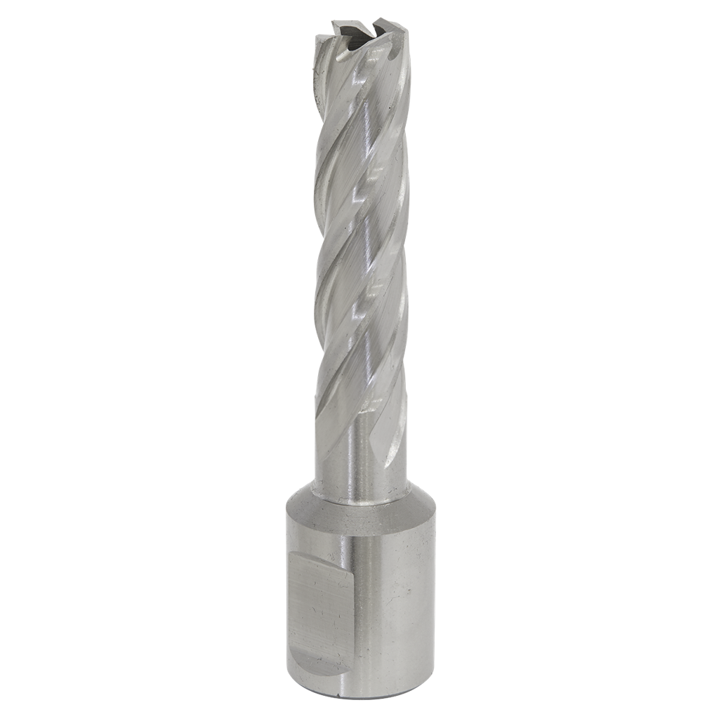 Worksafe&#174; 12mm HSS Mag Drill Bit Cut Depth 50mm