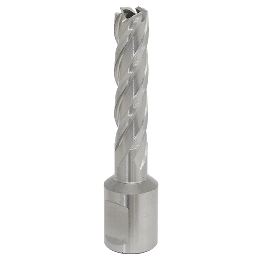 Worksafe&#174; 12mm HSS Mag Drill Bit Cut Depth 50mm