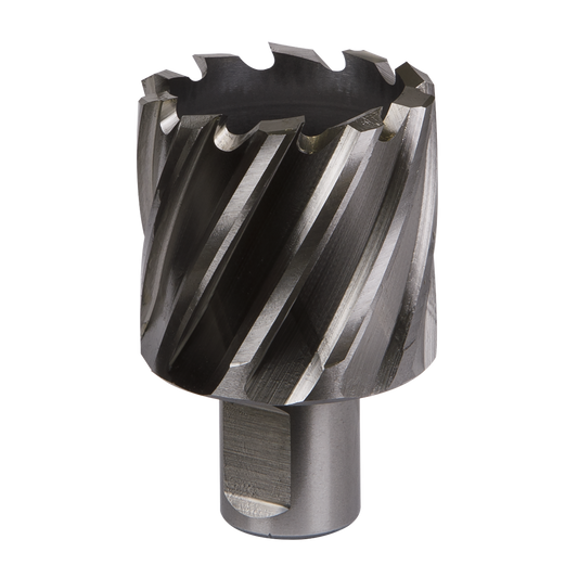 Worksafe&#174; 40mm HSS Mag Drill Bit Cut Depth 25mm