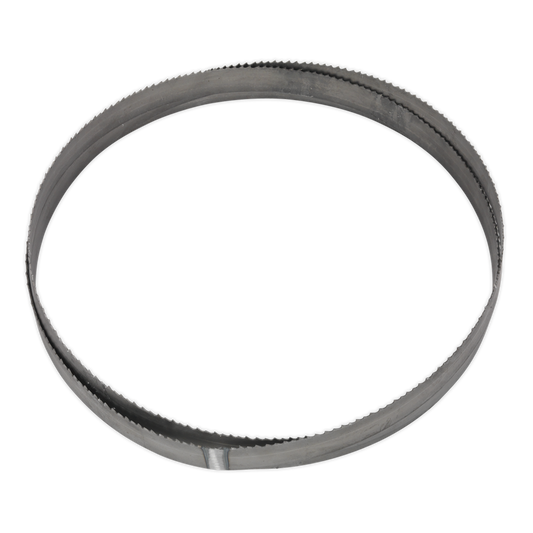 4/6tpi Bi-Metal Bandsaw Blade 3035 x 25 x 0.89mm