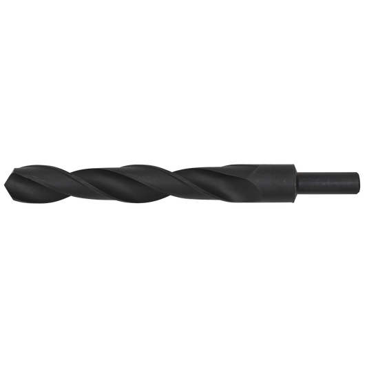 Blacksmith Bit - &#216;22 x 220mm