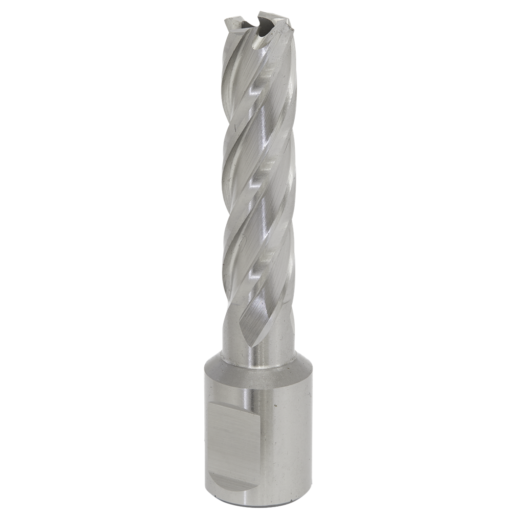 Worksafe&#174; 13mm HSS Mag Drill Bit Cut Depth 50mm