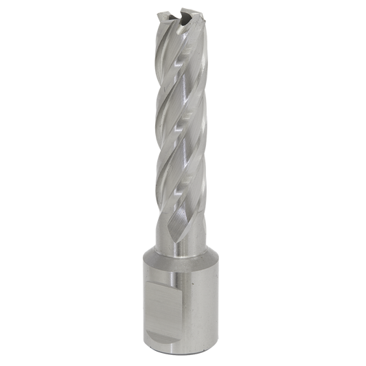 Worksafe&#174; 13mm HSS Mag Drill Bit Cut Depth 50mm