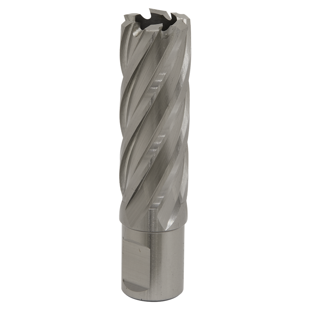 Worksafe&#174; 22mm HSS Mag Drill Bit Cut Depth 50mm