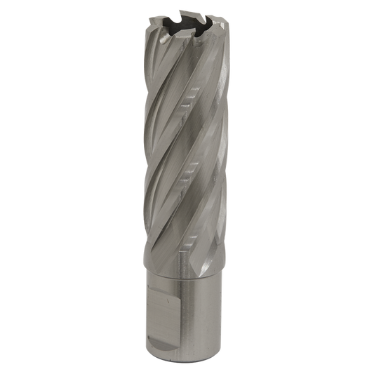 Worksafe&#174; 22mm HSS Mag Drill Bit Cut Depth 50mm