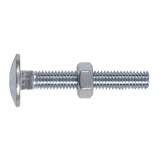 Zinc Plated Coach Bolt & Nut M6 x 40mm, DIN 603 - Pack of 100