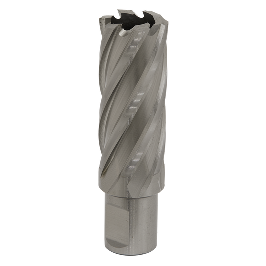 Worksafe&#174; 24mm HSS Mag Drill Bit Cut Depth 50mm