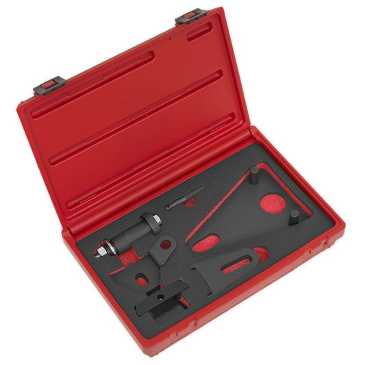Front Pulley & Flywheel Locking Tool Set - Chain Drive