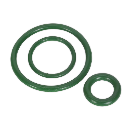 Viton&#174; Seal Kit for SCSG02 & SCSG03