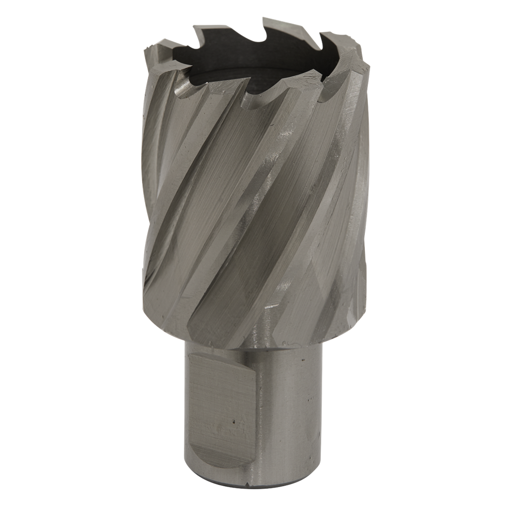 Rotabor Cutter HSS &#216;31mm - Cut Depth 25mm