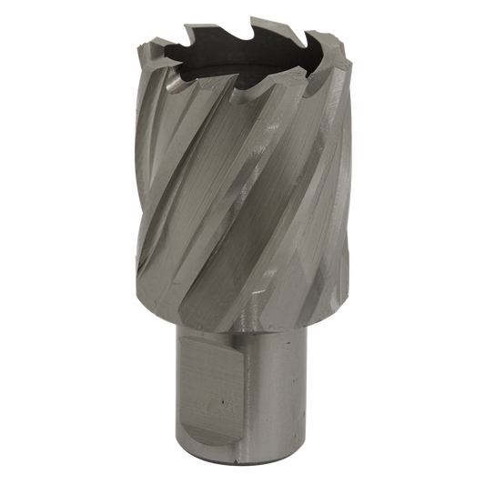 Rotabor Cutter HSS &#216;31mm - Cut Depth 25mm