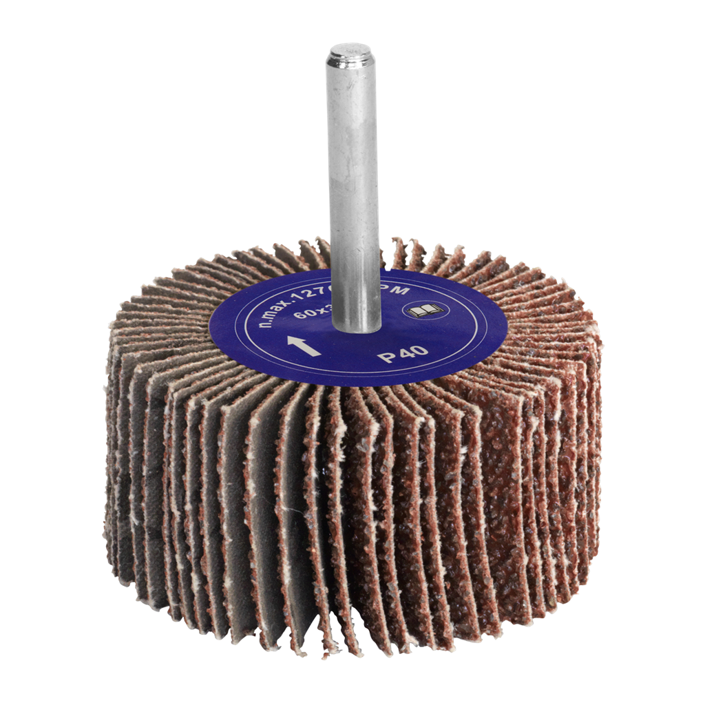 Flap Wheel &#216;60 x 30mm 40Grit 6mm Shaft