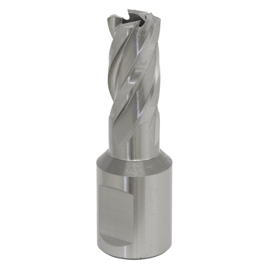Rotabor Cutter HSS &#216;14mm - Cut Depth 25mm