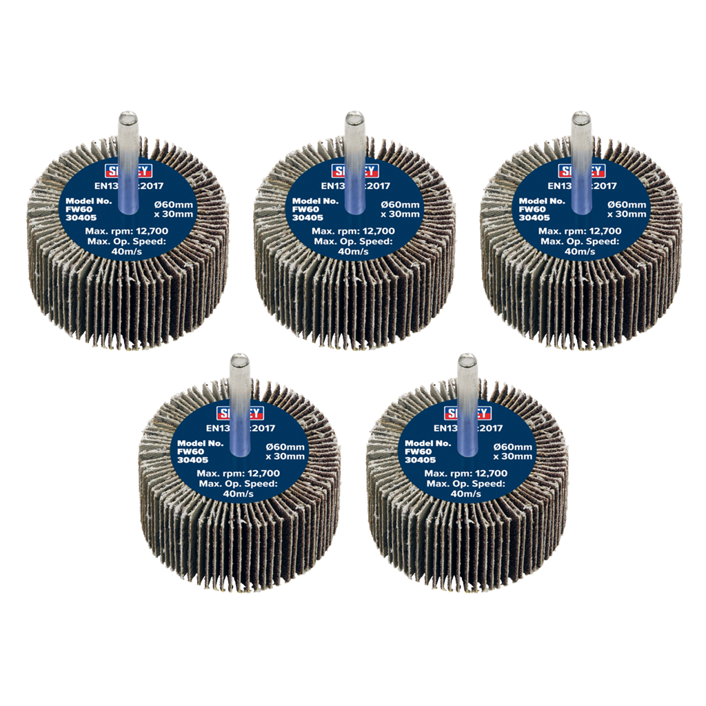 Flap Wheel &#216;60 x 30mm 40Grit &#216;6mm Shaft - Pack of 5