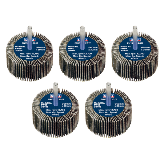 Flap Wheel &#216;60 x 30mm 40Grit &#216;6mm Shaft - Pack of 5