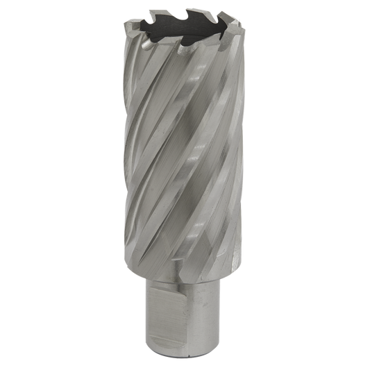 Rotabor Cutter HSS &#216;29mm - Cut Depth 50mm