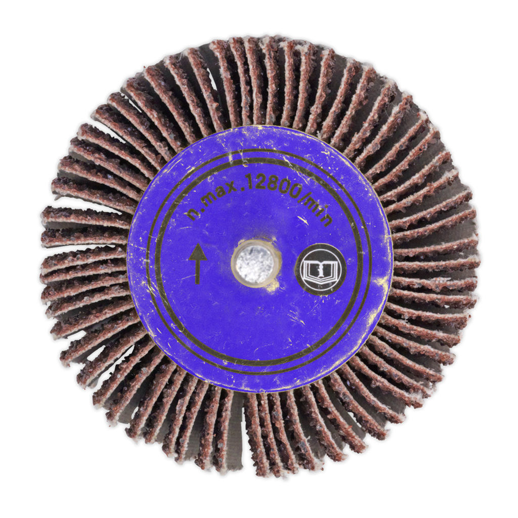 Flap Wheel &#216;60 x 30mm 80Grit 6mm Shaft