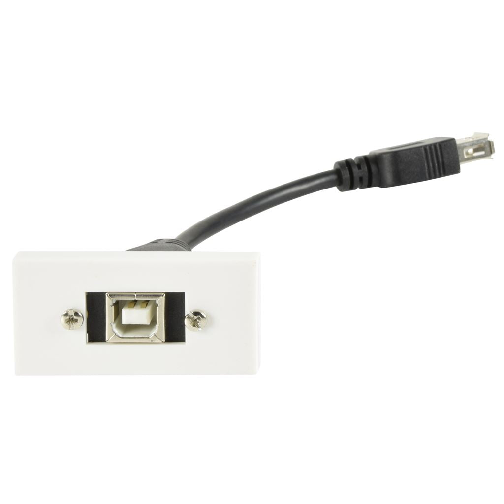 Wall Plate Module - USB2.0 Type-B Socket to Female Type-A Tail